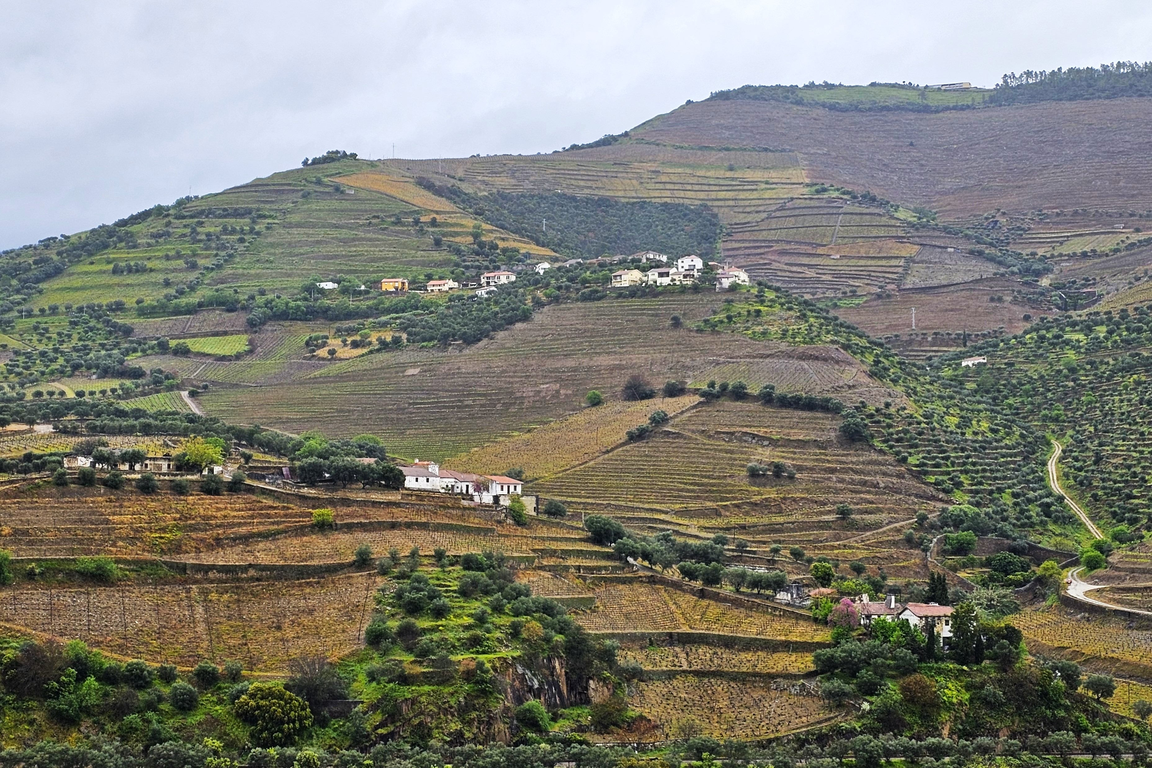 Douro